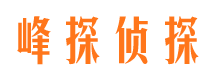 自贡市场调查